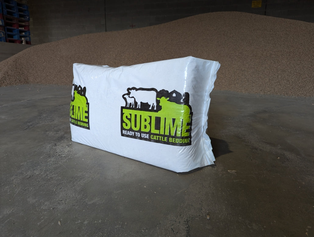 Sublime for Cubicles (Jumbo Bag)