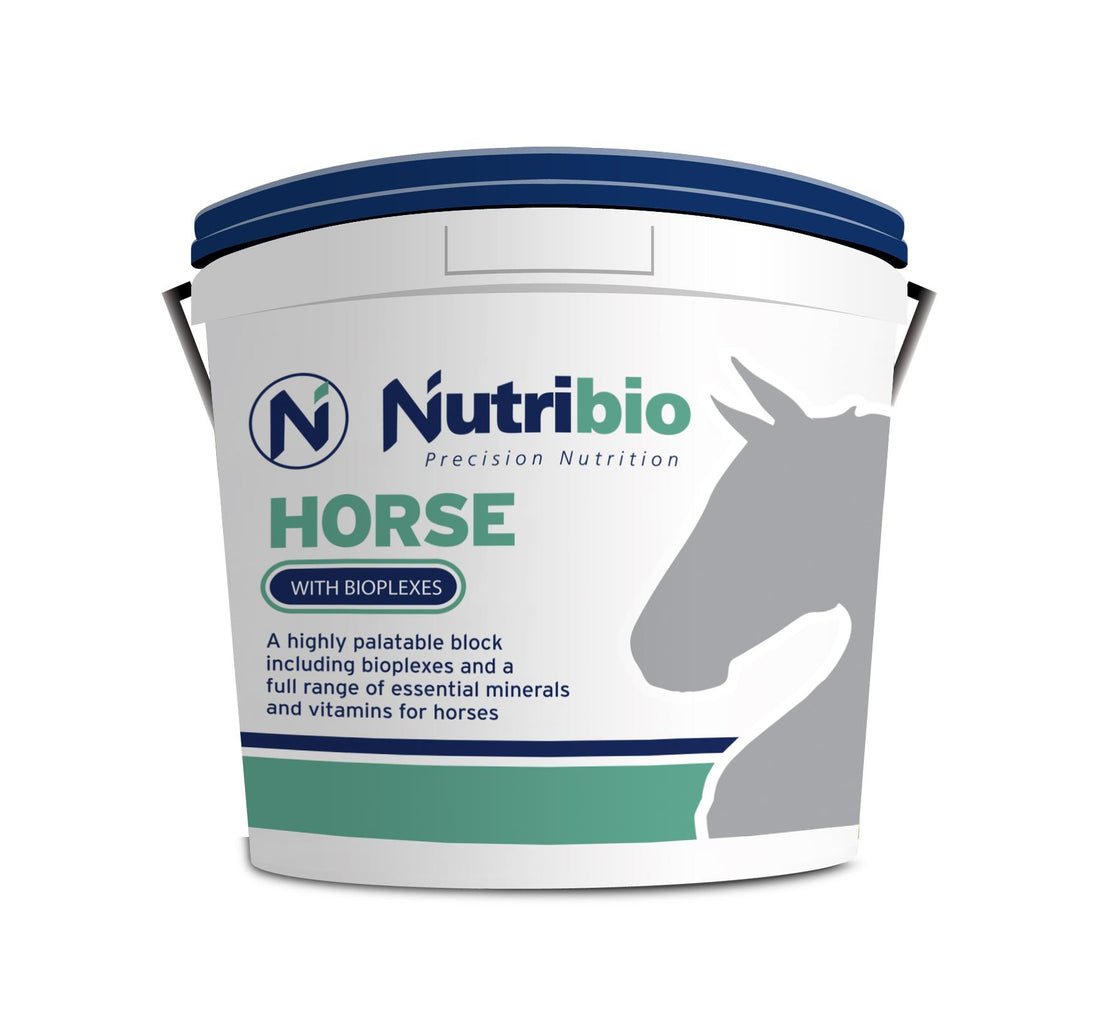 Nutribio Horse Block - Tonne