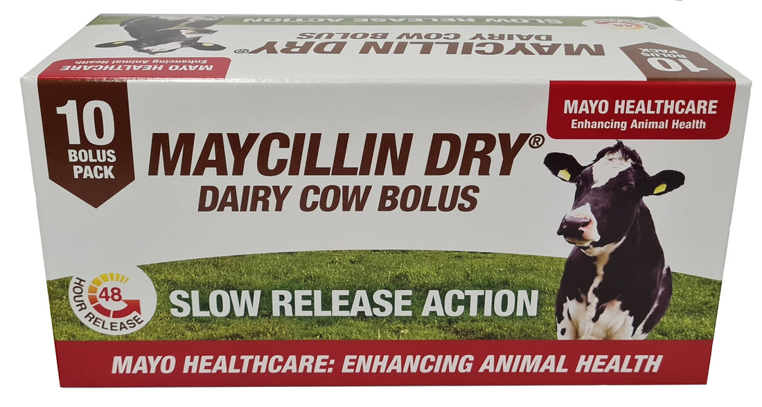 Maycillin Dry (Box of 10 Bolus)