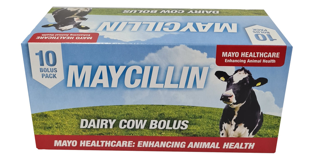 Maycillin (Box 10 Bolus)