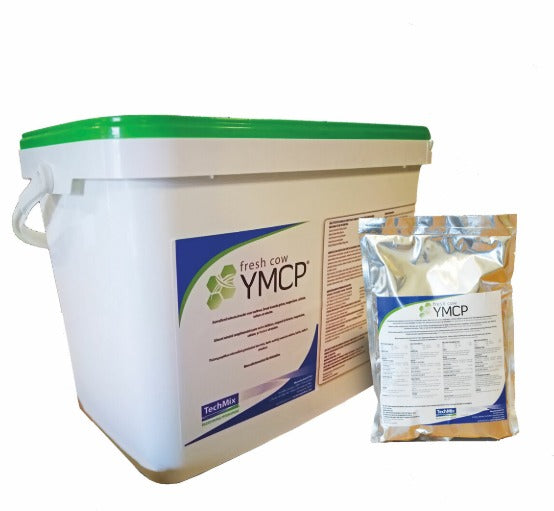 Fresh Cow YMCP - Bucket of 24