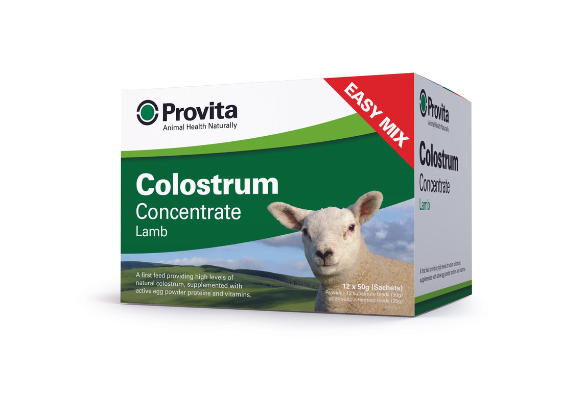 Provita Lamb Colostrum 50G Sachet