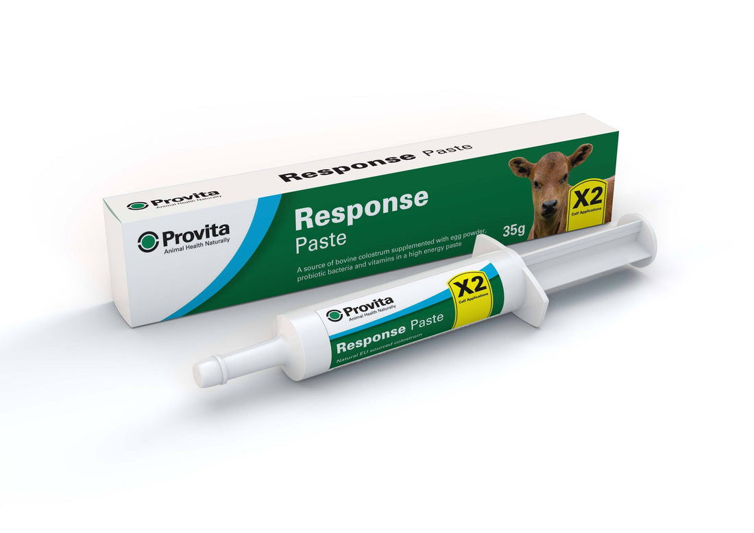 Provita Response Calf Paste 35g