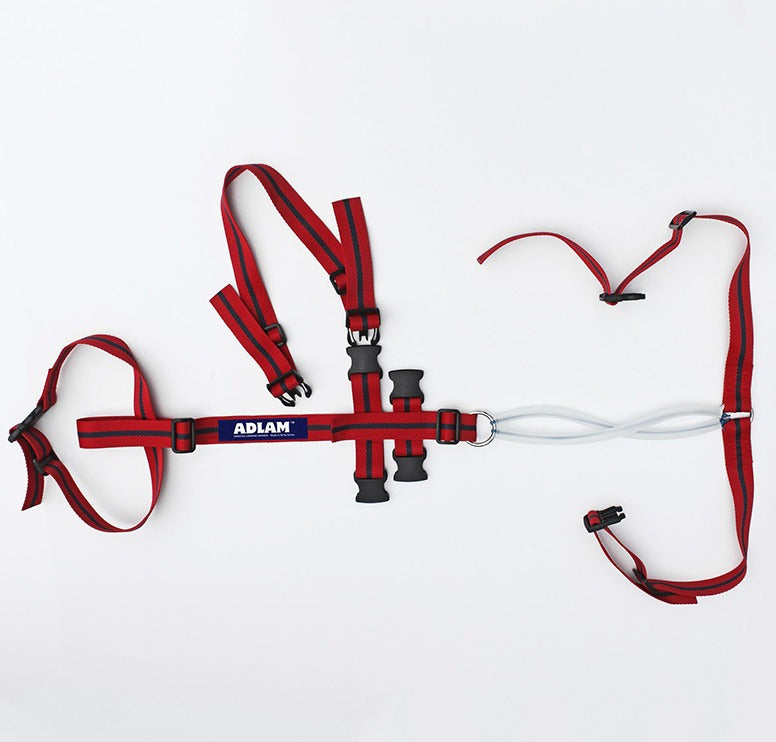 Adlam Multi-Use Prolapse Harness
