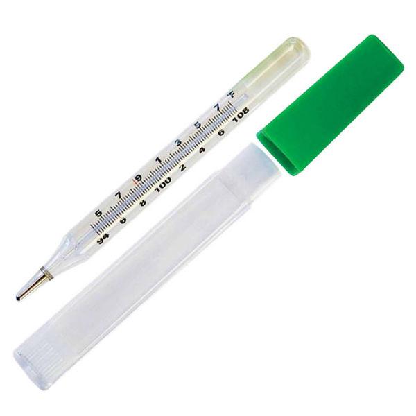 Veterinary Thermometer F Mercury Free