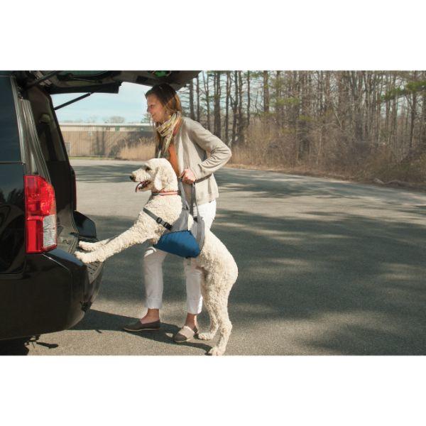 Kurgo Up & About Dog Lifter