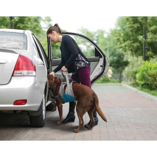 Kurgo Up & About Dog Lifter