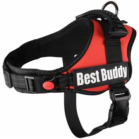 Best Buddy Pluto Jungle Camouflage Harness S 50-70Cm x 25Mm