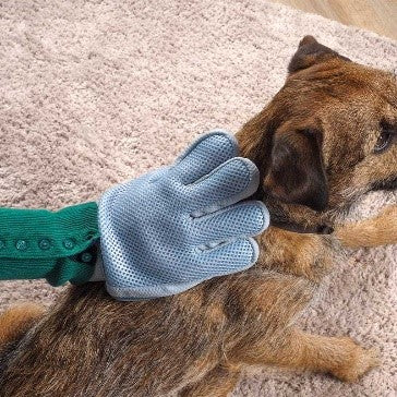 Grooming Glove