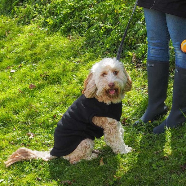 WalkAbout ThermaFleece - 50 cm