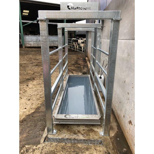 Hoofcount Automatic Footbath Standard 3 Meter