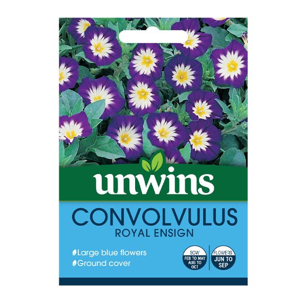 Unwins Seed Packet Convolvulus Royal Ensign