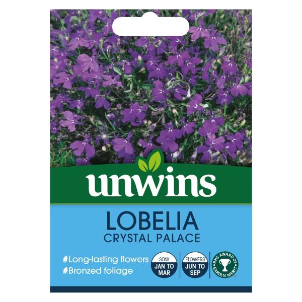 Lobelia Crystal Palace