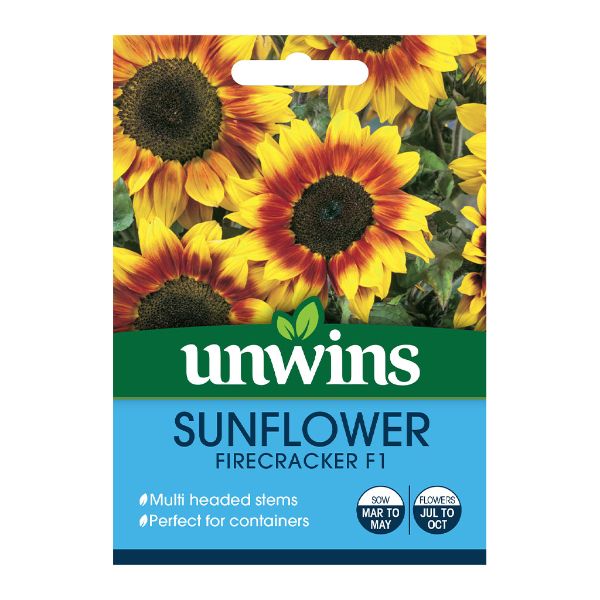 Unwins Seed Packet Sunflower Firecracker F1