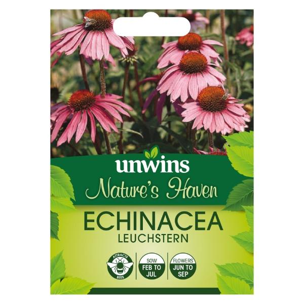 Nh Echinacea Leuchstern