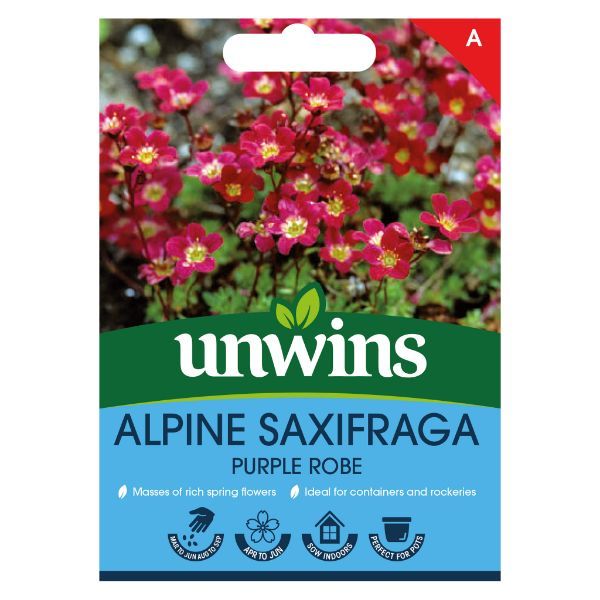 Unwins Seed Packet Alpine Saxifraga Purple Robe