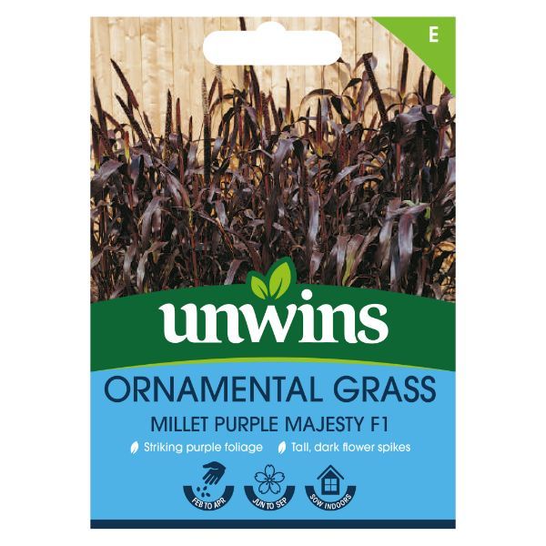 Unwins Seed Packet Ornamental Grass Millet Purple Majesty F1
