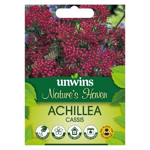 Unwins Seed Packet Natures Haven Achillea Cassis