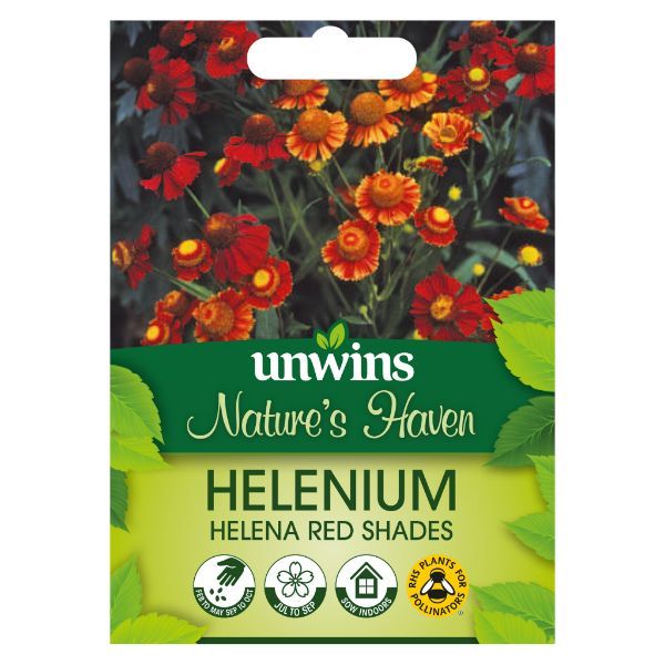 Unwins Seed Packet Natures Haven Helenium Helena Red Shades