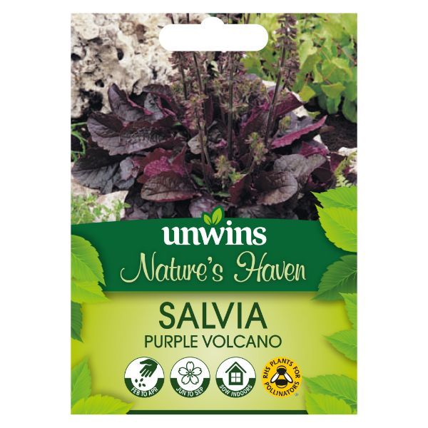 Unwins Seed Packet Natures Haven Salvia Purple Volcano