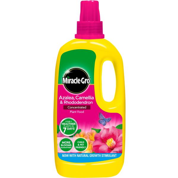 Miracle-Gro Ericaceous Liquid Plant Food 1Ltr