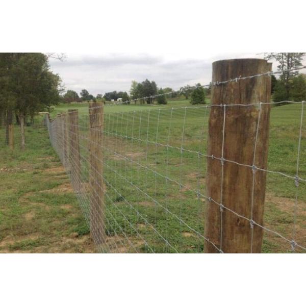 Larch Strainer Post Heavy 2.1X175-225