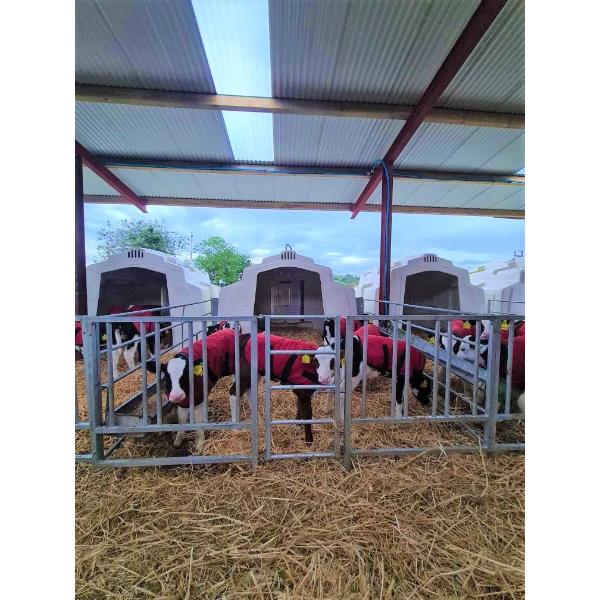 Group Calf Hutch Fence Kit