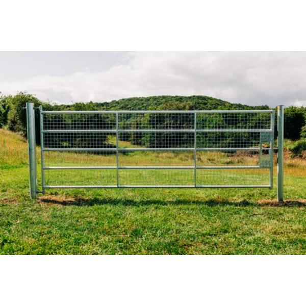 Gibney HG1 14&