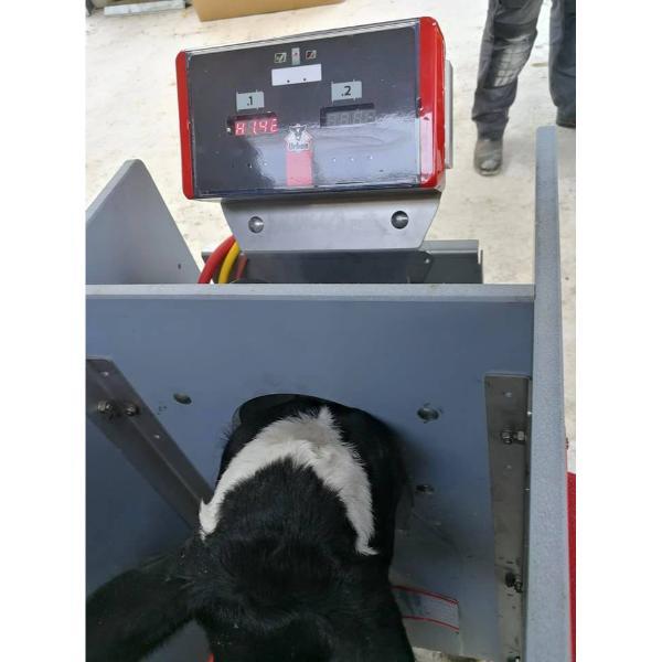 Urban Alma Pro Automatic Calf Feeding Systems
"