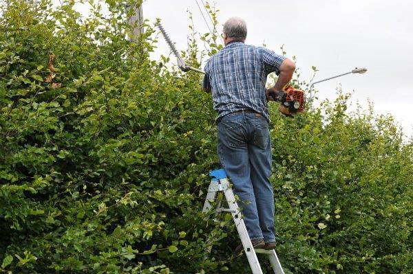 STRADBALLY TRIPOD LADDER 8FT