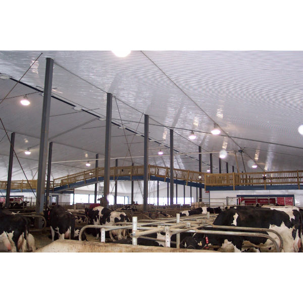 Palopaque Hygiene Sheet 8X4Ftx2.5Mm