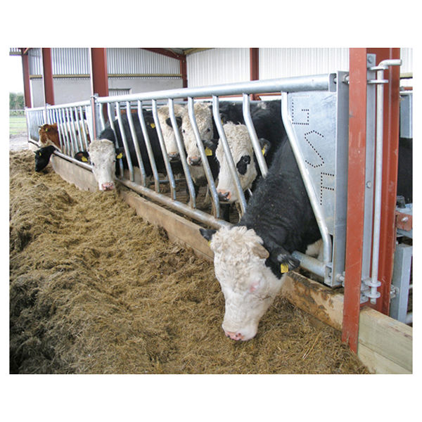 Cattle Feed Barrier 10 Space 76mm