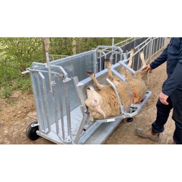 Sheep Turnover Crate