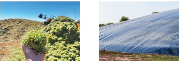 Black Polythene Silage Sheet 500G - 60x120