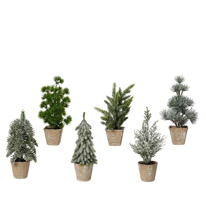Christmans Mini Trees In Pot 20Cm 6 Assorted