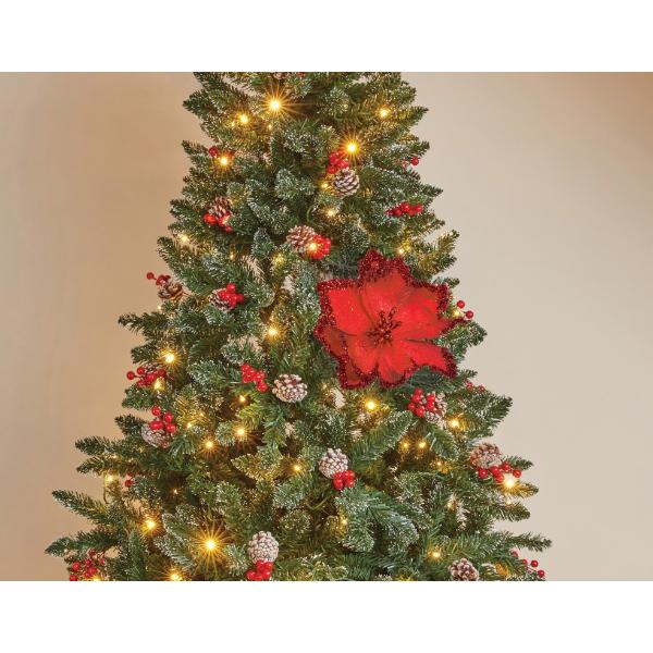 Three Kings Christmas Magnolia Red