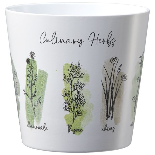 SK Indoor Pot Dallas Culinary Culinary Herbs D14Cm X H13Cm