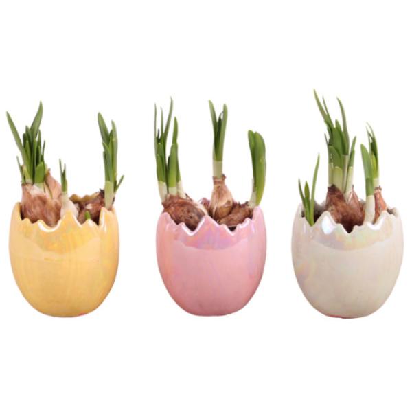 Easter Egg Bulb Planters