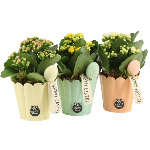 Easter Flower Pots in Pastel Colours 18cm