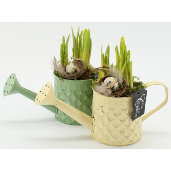 Easter Decorative Watering Cans with Potted Plants 20cm