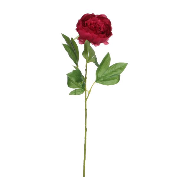 Peony Red Loose Stem