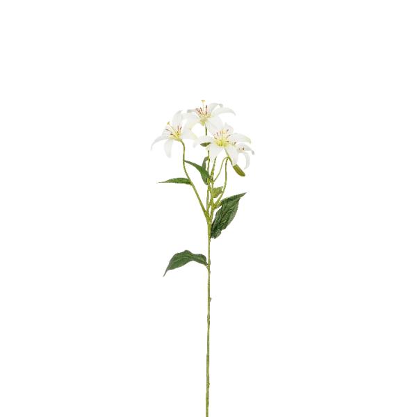 Lily Cream Loose Stem