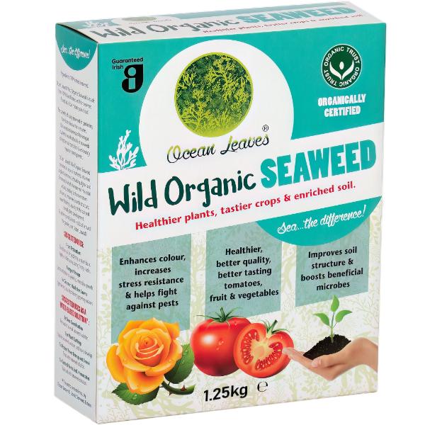 Ocean Leave Dried Seaweed 1.25Kg
