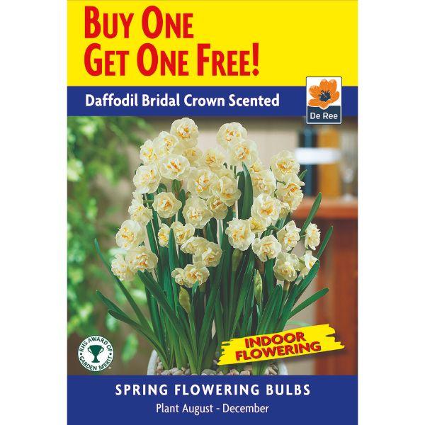 De Ree - Buy One Get One Free Bulb Pack