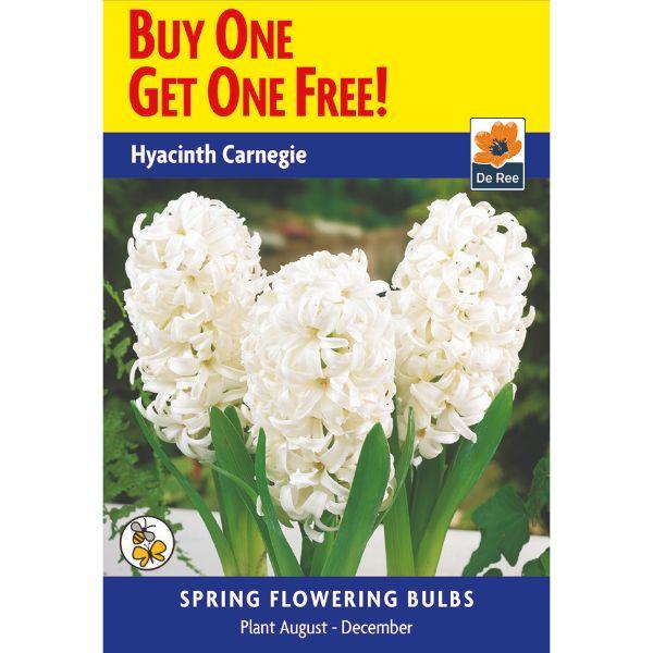 De Ree - Buy One Get One Free Bulb Pack