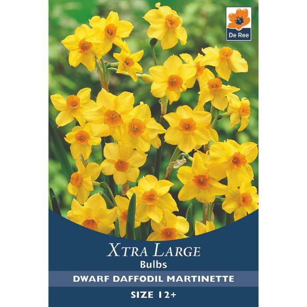 De Ree - Xtra Large Bulbs