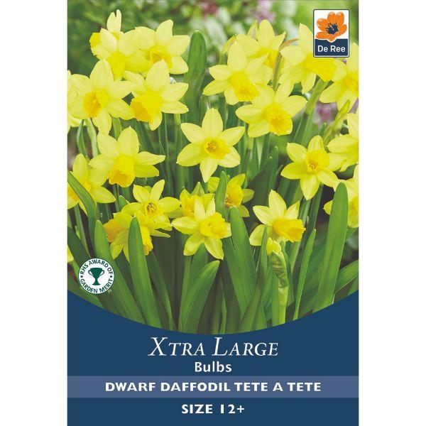 De Ree - Xtra Large Bulbs