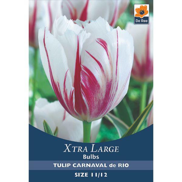 De Ree - Xtra Large Bulbs