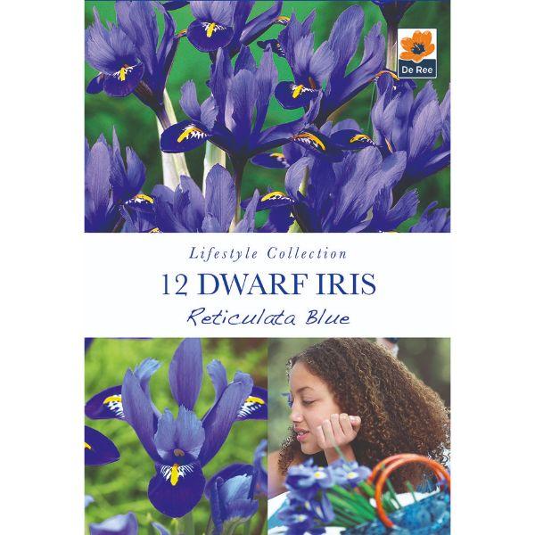 De Ree - Lifestyle Bulb Collection