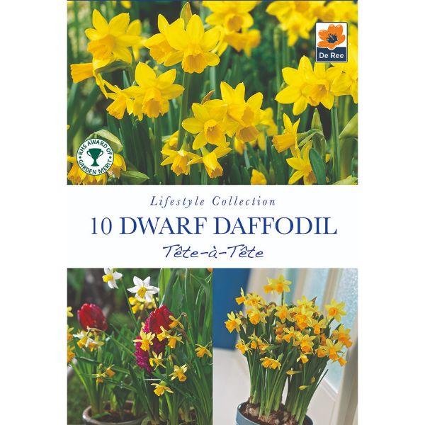 De Ree - Lifestyle Bulb Collection